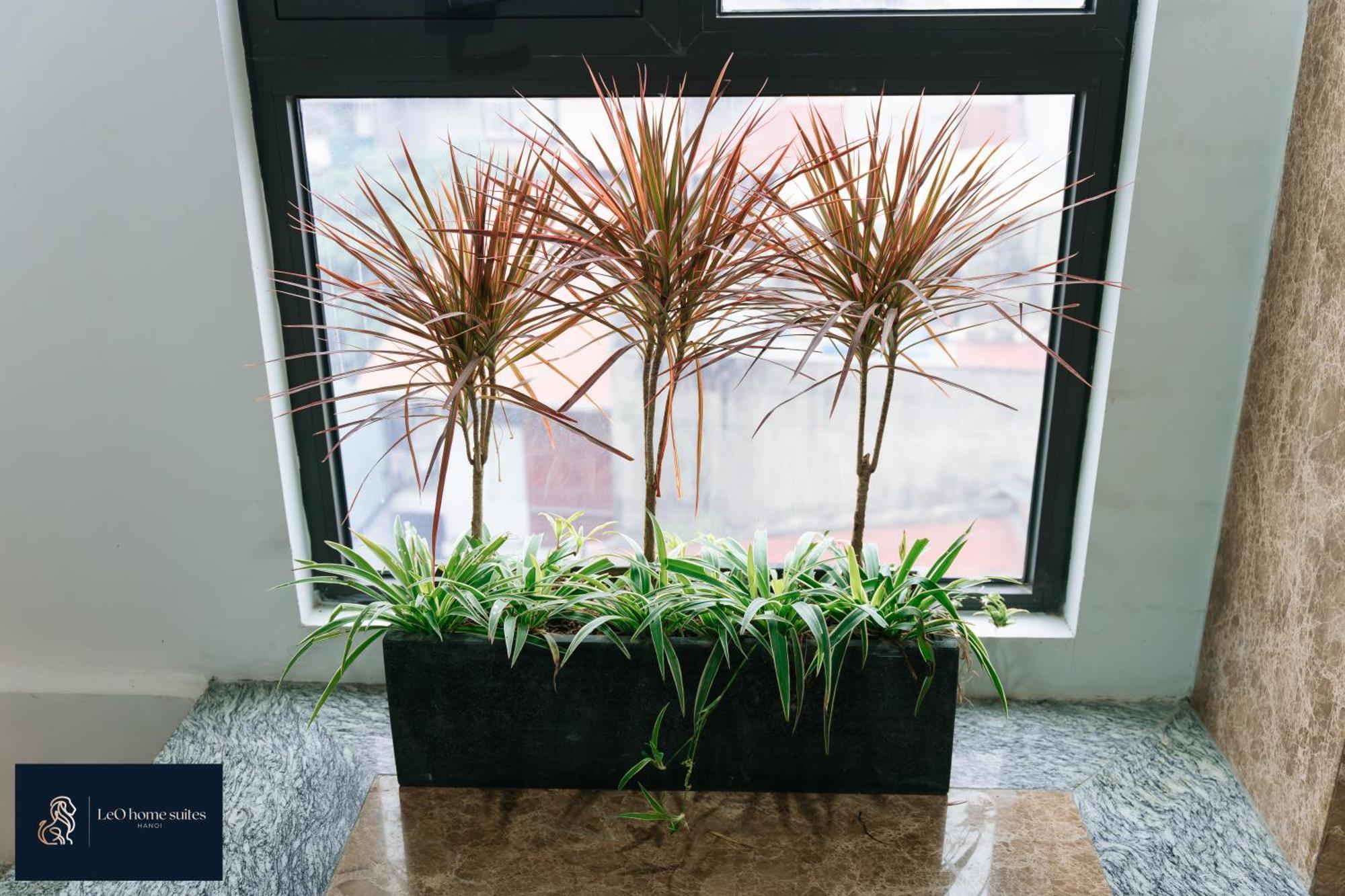 האנוי Home Suites -Natural Light -Projector -Spacious - 2Br Incenter מראה חיצוני תמונה
